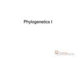 Phylogenetics I