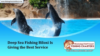 Deep Sea Fishing Biloxi Is Giving the Best Service