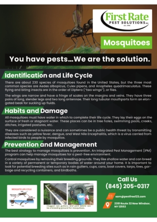 Pest Control Agency | Orange County Orange Exterminators