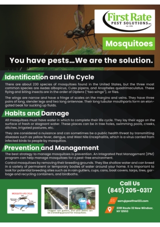 Pest Control Agency | Orange County Orange Exterminators