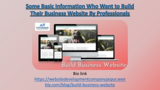 Want to Build Their Business Website By Professionals