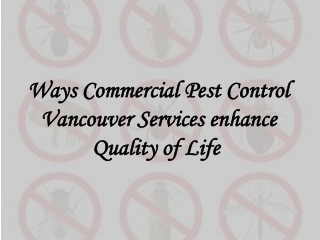 Ways Commercial Pest Control Vancouver Services enhance Quality of Life