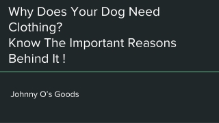 Why Does Your Dog Need Clothing? Know The Important Reasons Behind It