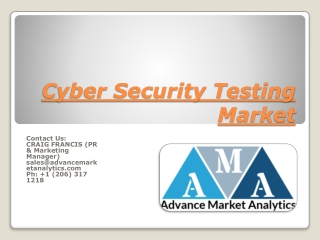 Cyber Security Testing Market
