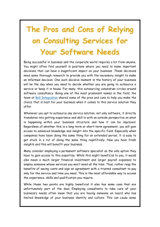 The Pros and Cons of Relying on Consulting Services for Your Software Needs