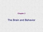 The Brain and Behavior