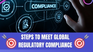 Regulatory Affairs Guidance for Pharmaceutical Companies