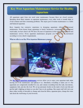 Key West Aquarium Maintenance Service for Healthy Aquarium