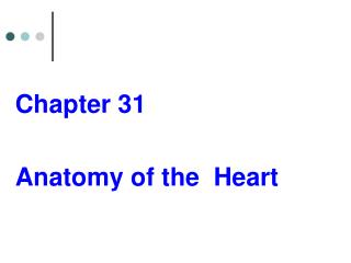 Chapter 31 Anatomy of the Heart