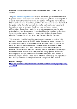 Emerging Opportunities in Bleaching Agent Market with Current Trends Analysis