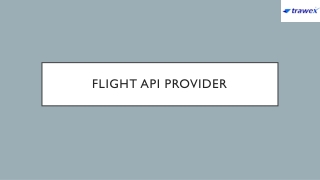 Flight API Provider