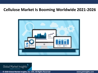 Cellulose Market