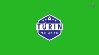Effective Termite Control in Senoia, GA