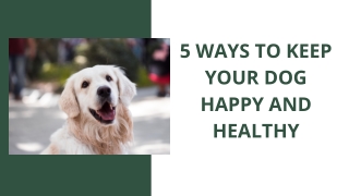 5 WAYS TO KEEP YOUR DOG HAPPY AND HEALTHY