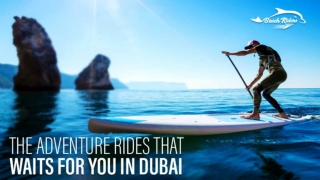 The Adventure Rides That Waits for You in Dubai