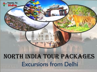 North India tour packages; Excursions from Delhi