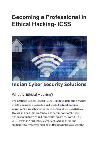 Becoming a Professional in Ethical Hacking