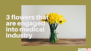 3 flowers engaged in medical industry - arabian florist