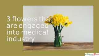 3 flowers that are engaged into medical industry - Arabian Florist