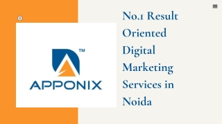 No.1 Result Oriented Digital Marketing Services in Noida