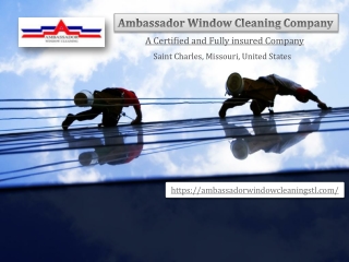 Residential Window Cleaning Services