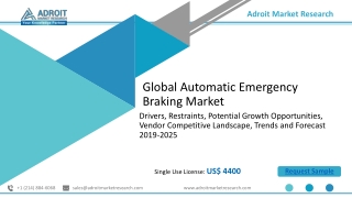 Automatic Emergency Braking Market 2020: Size, Demand Forecasts, Company Profile