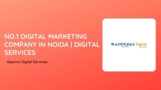 No.1 Digital Marketing Company in Noida