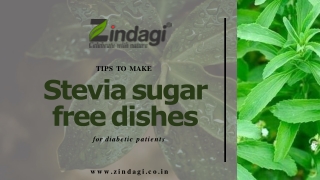 Zindagi- Make stevia sugar free dishes for diabetic patients