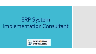 ERP System Implementation Consultant