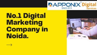 No.1 Digital Marketing Company in Noida