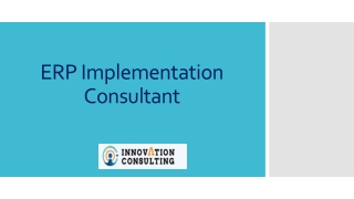 ERP Implementation Consultant