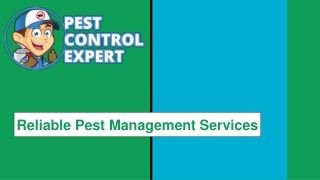 Reliable Pest Management Services - Pest Control Expert