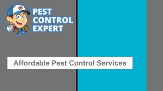 Affordable Pest Control Services - Pest Control Expert