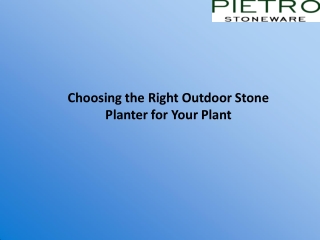 Choosing the Right Outdoor Stone Planter for Your Plant