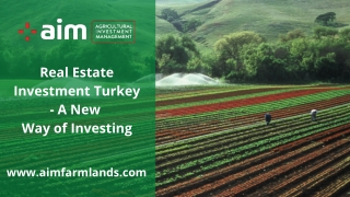 Real Estate Investment Turkey - A New Way of Investing