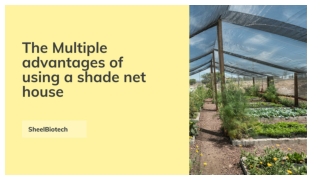 The multiple advantages of using a shade net house