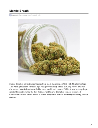Mendo Breath