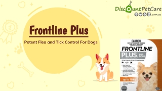 Buy Frontline Plus For Dogs Online - DiscountPetCare