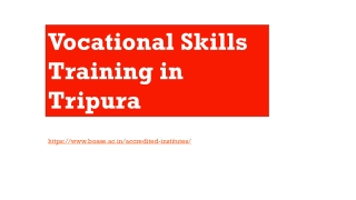Vocational Skills Training in Tripura