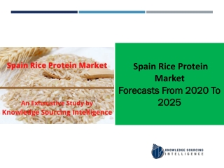 Segment analysis on Spain Rice Protein Market