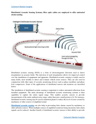 Distributed Acoustic Sensing