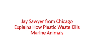 Jay Sawyer from Chicago Explains How Plastic Waste Kills Marine Animals