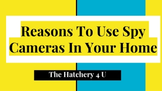 Reasons To Use Spy Cameras In Your Home | The Hatchery 4 U