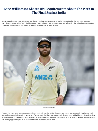 Kane Williamson Shares His Requirements About The Pitch In The Final Against India