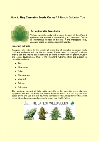 How to Buy Cannabis Seeds Online A Handy Guide for You