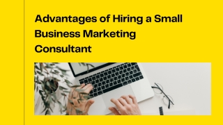 California Natalie Dipiero: Advantages of Hiring a Business Marketing Consultant