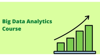 Big Data Analytics Course