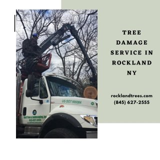 Tree Damage Service in Rockland NY