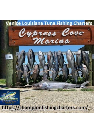 Tuna Fishing Charters In Venice La