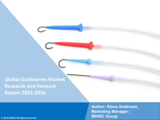Guidewires Market PDF | Growth | Trends | Forecast to 2021-2026